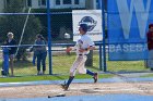 Baseball vs MIT  Wheaton College Baseball vs MIT during Semi final game of the NEWMAC Championship hosted by Wheaton. - (Photo by Keith Nordstrom) : Wheaton, baseball, NEWMAC